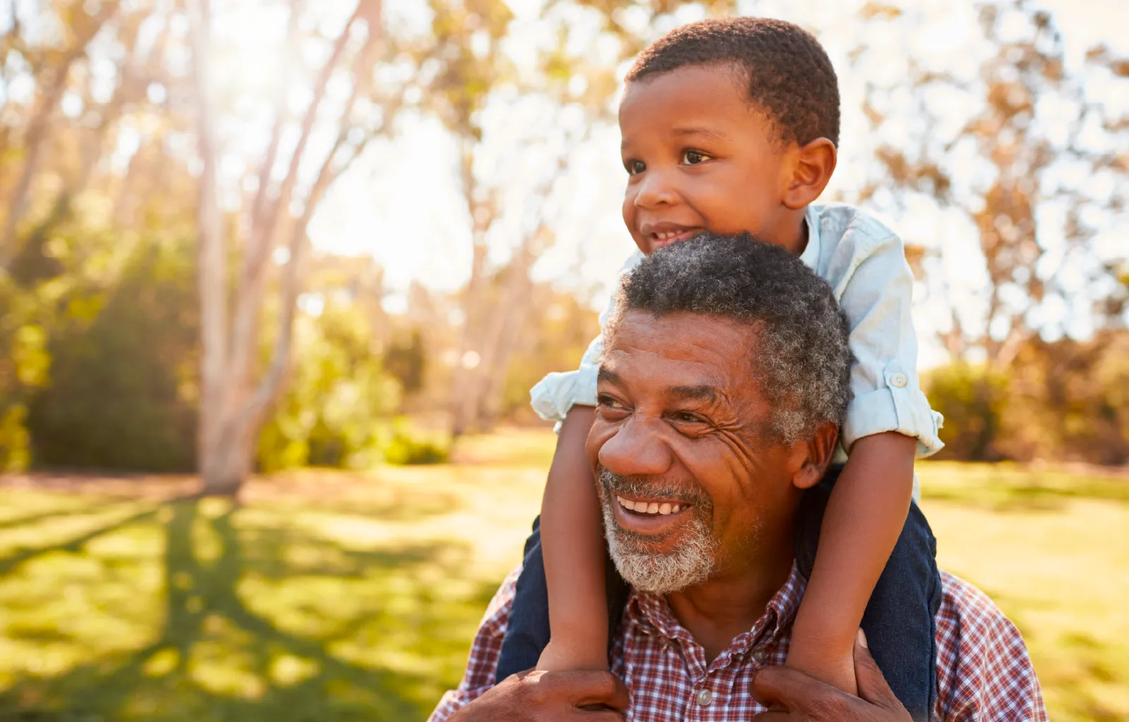 Seneca Services Intensive Community Based Services