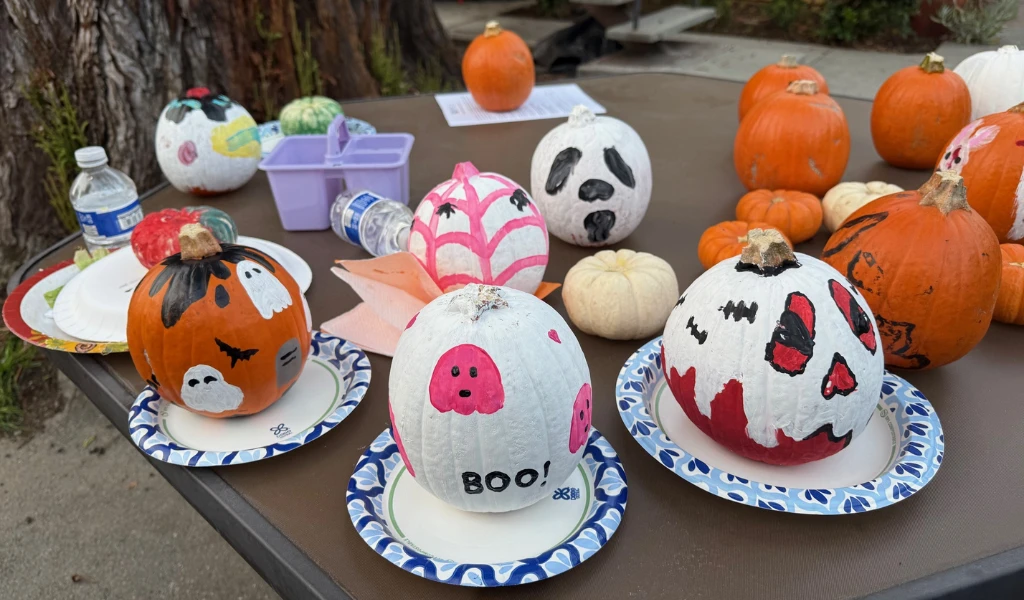 Seneca Blog Yab 2025