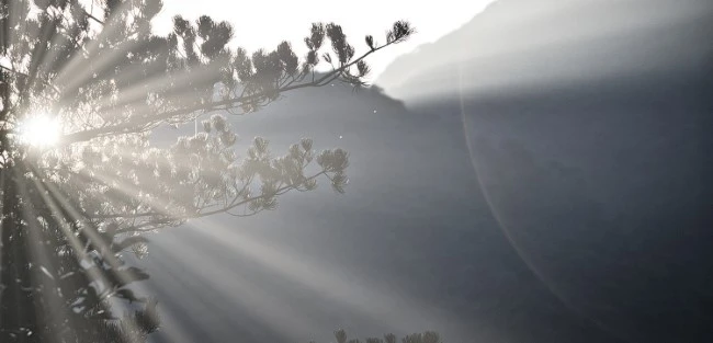 Seneca About Our Name