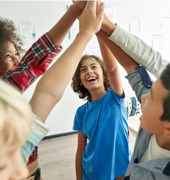 Seneca Services Step Daily Therapeutic Groups Accordion