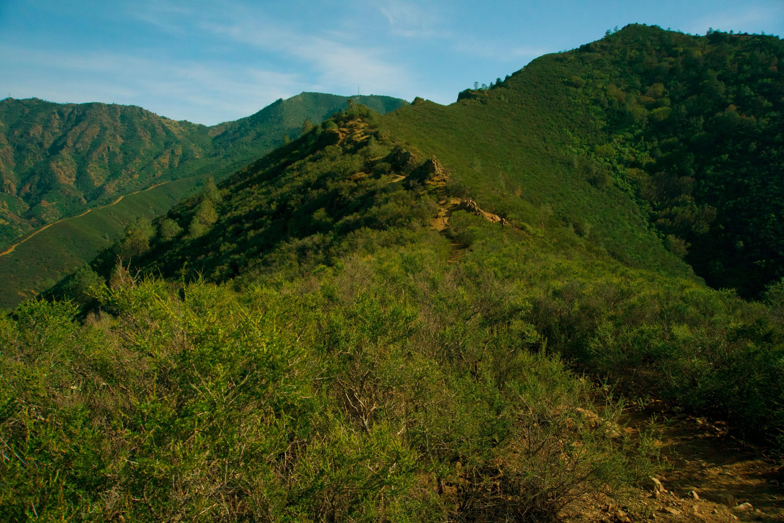 Contra Costa County